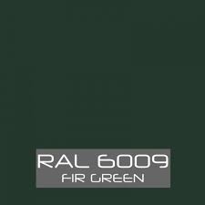 RAL 6009 Fir Green Aerosol Paint